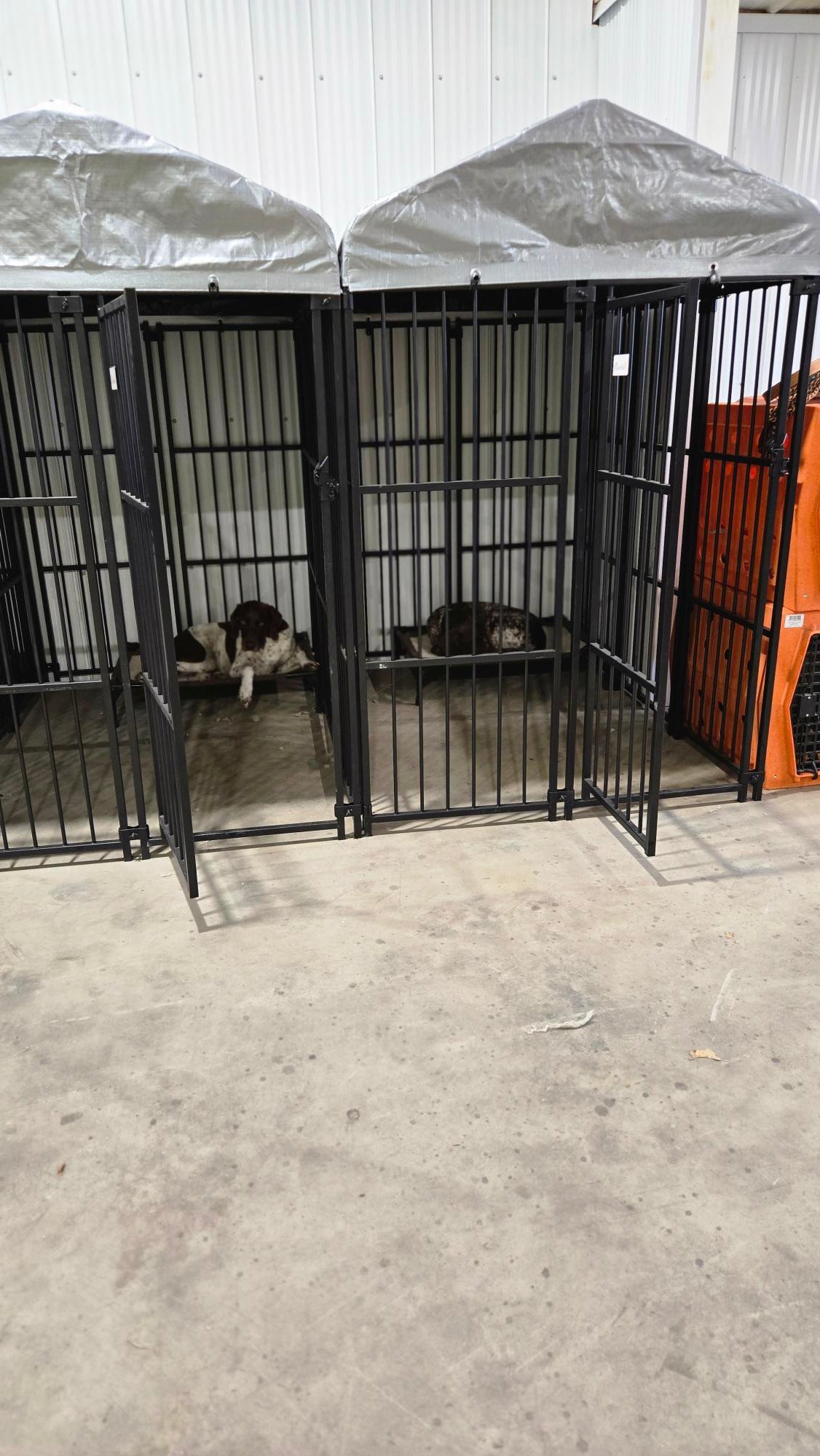 Dog Boarding – Overnight Care