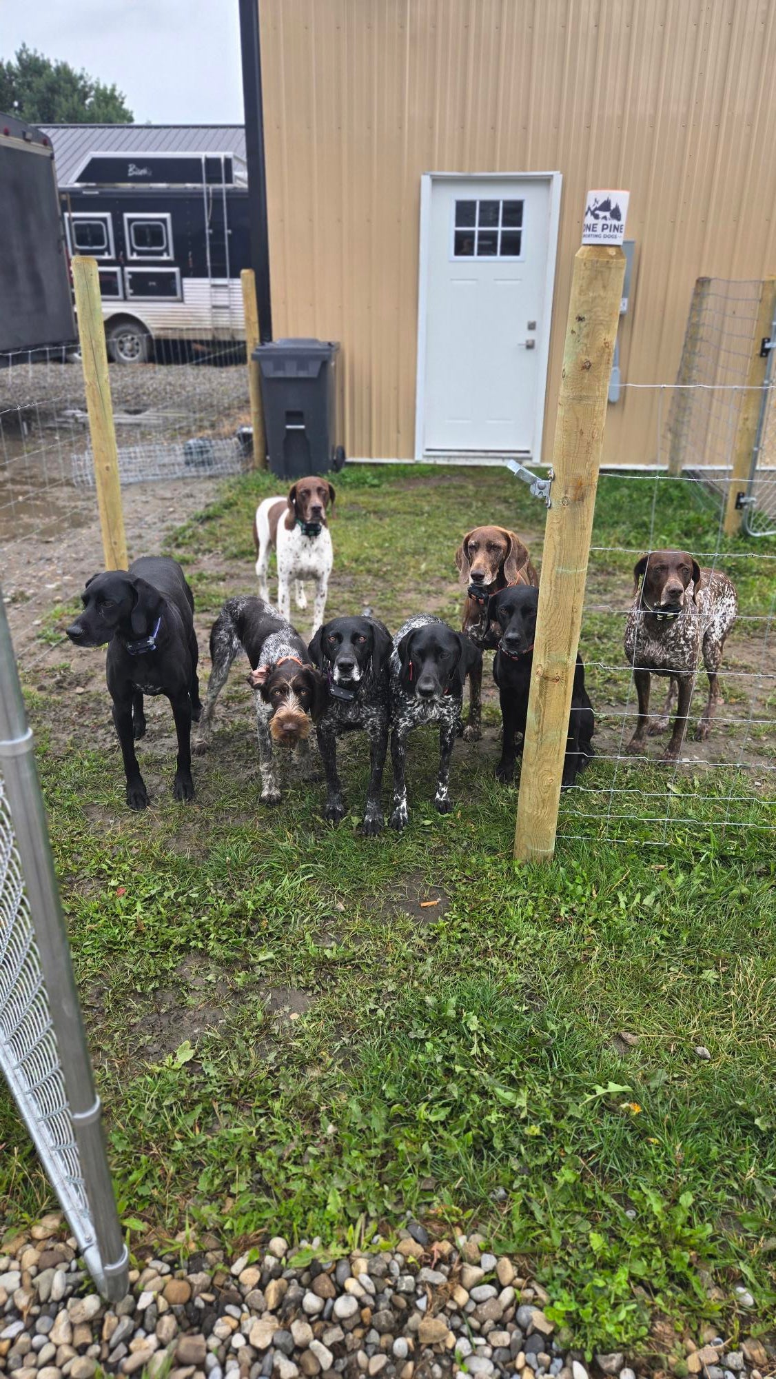Dog Daycare – Full & Half Day