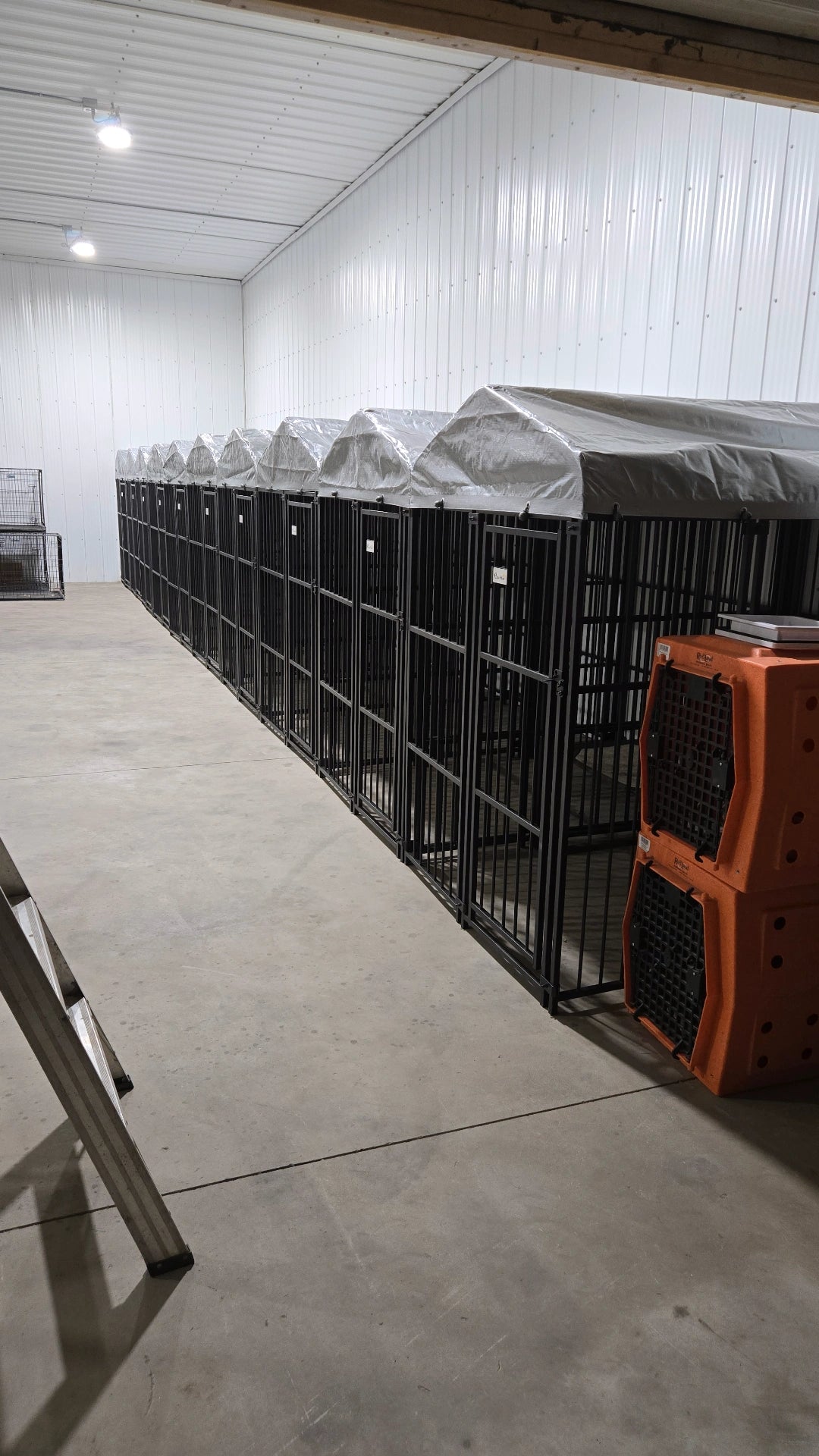Dog Boarding – Overnight Care